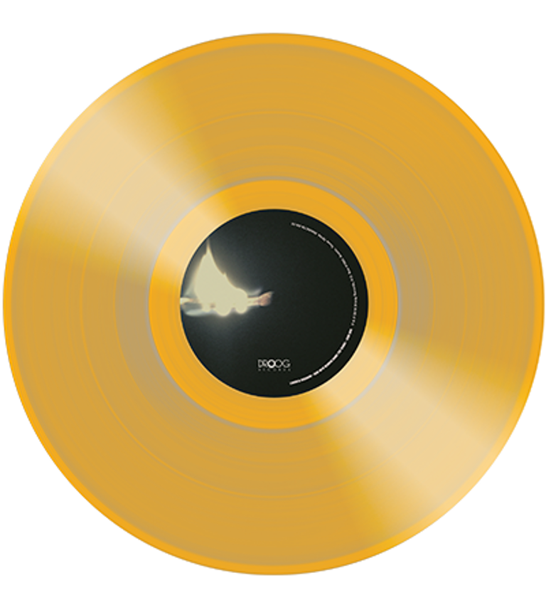 "And Into Heaven Came The Night" GOLD 180 gram Vinyl + DIGITAL DOWNLOAD